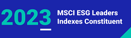 Sustainability Ratings and Indices Image