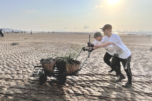 Sustainability Image